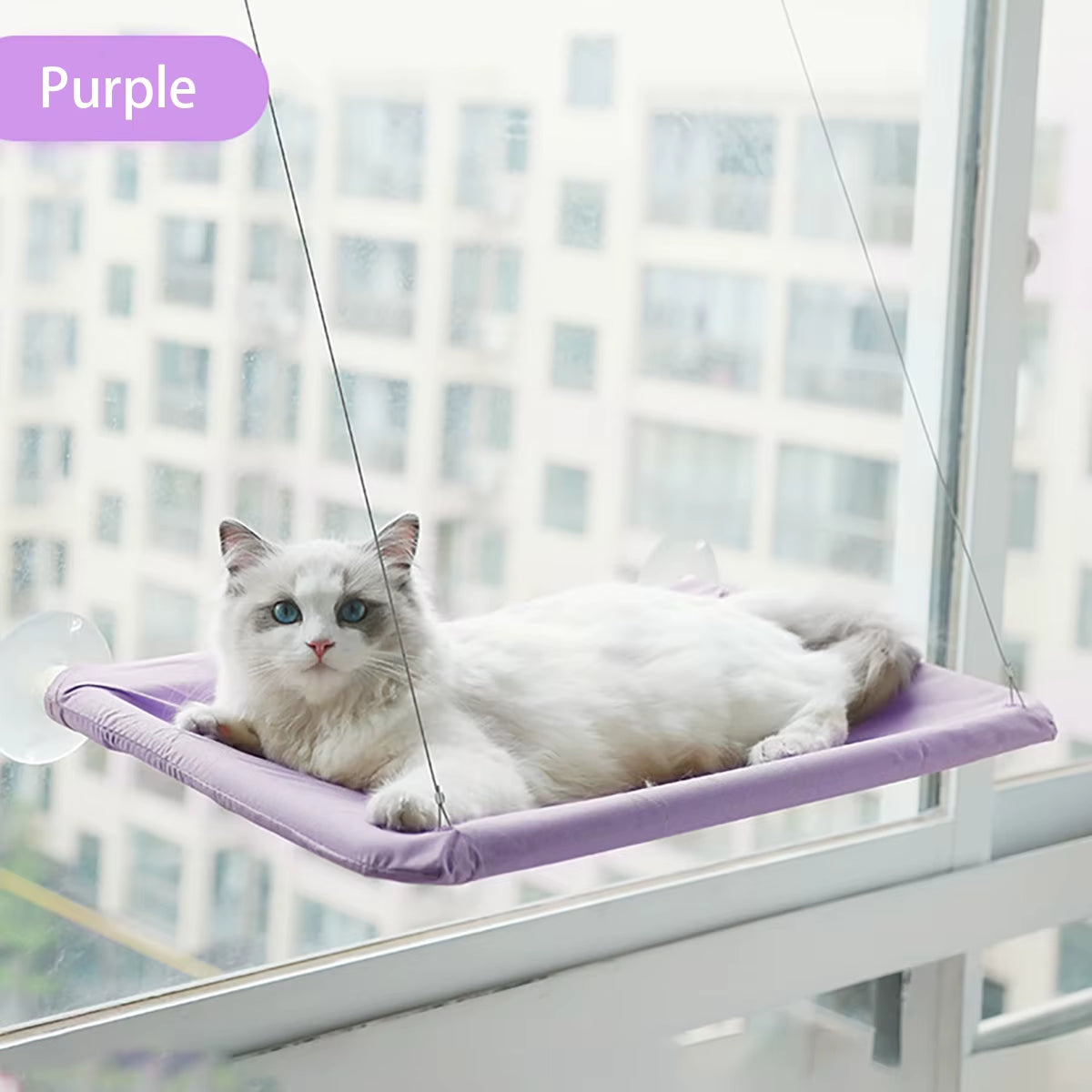 20KG Window Mounted Cat Hammock – Hanging Cat Bed & Climbing Seat for Sunbathing | Space-Saving Perch for Kittens & Small Pets