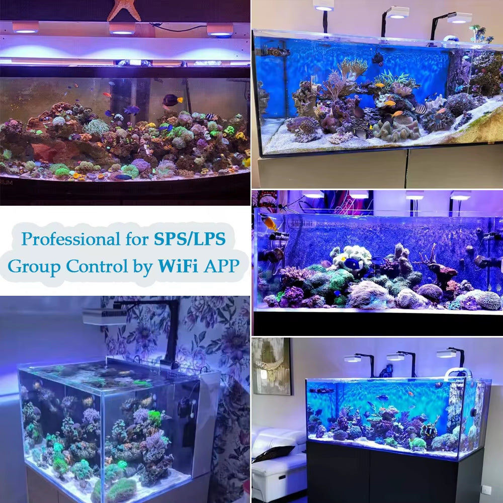 RL90 100W WiFi LED Aquarium Light – Full Spectrum Reef Lighting for SPS/LPS Corals & Saltwater Marine Fish Tanks