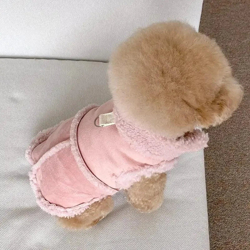 Small Dog Clothes – Warm Pet Sweatshirt Dress for Chihuahua & Puppies | Cute Dog Apparel & Accessories