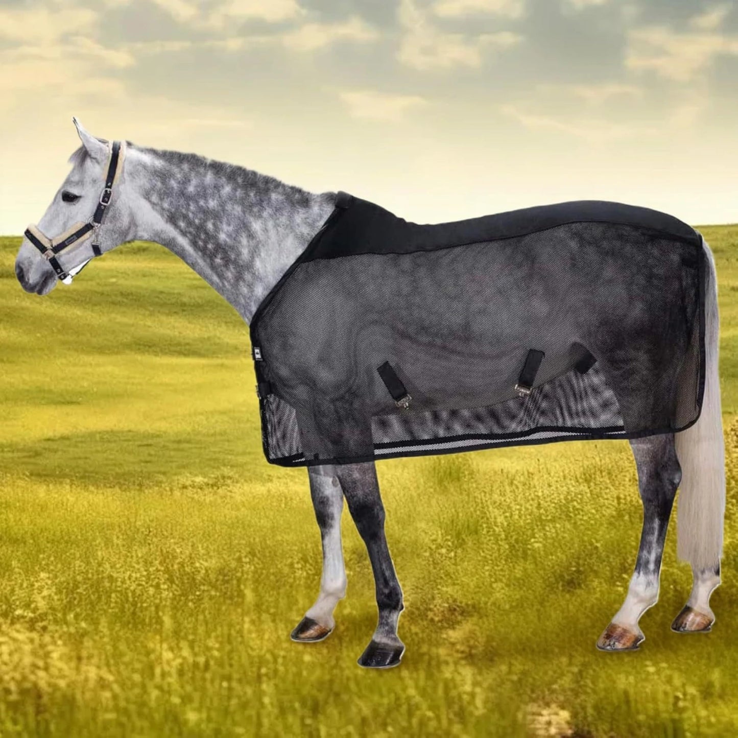 Caparison  Protective Tear-Resistant Mesh Horse Fly Sheet Comfy Equine Summer Sheet Breathable and UV