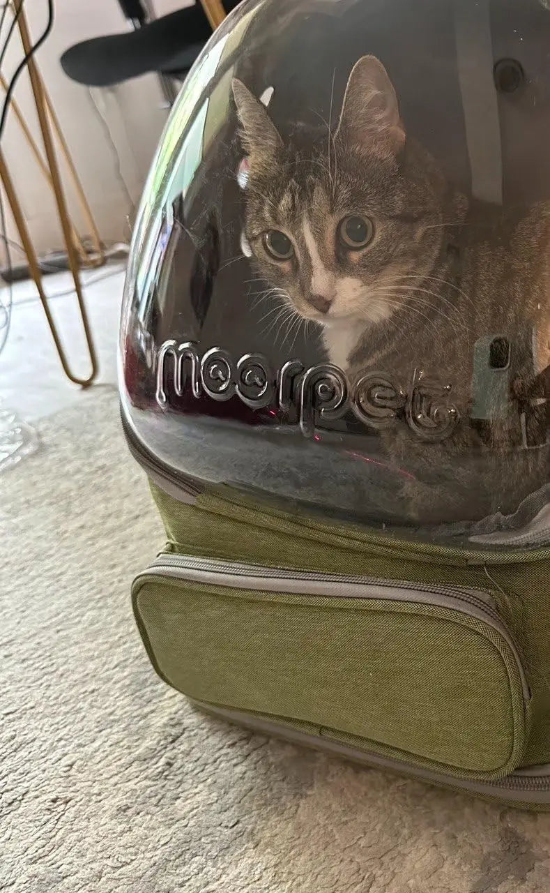 Cat Carrier Backpack Clear Pet Cat Carrier Bag Outdoor Travel Backpack for Cats Puppies Breathable Cat Carry Bag Pet Supplies