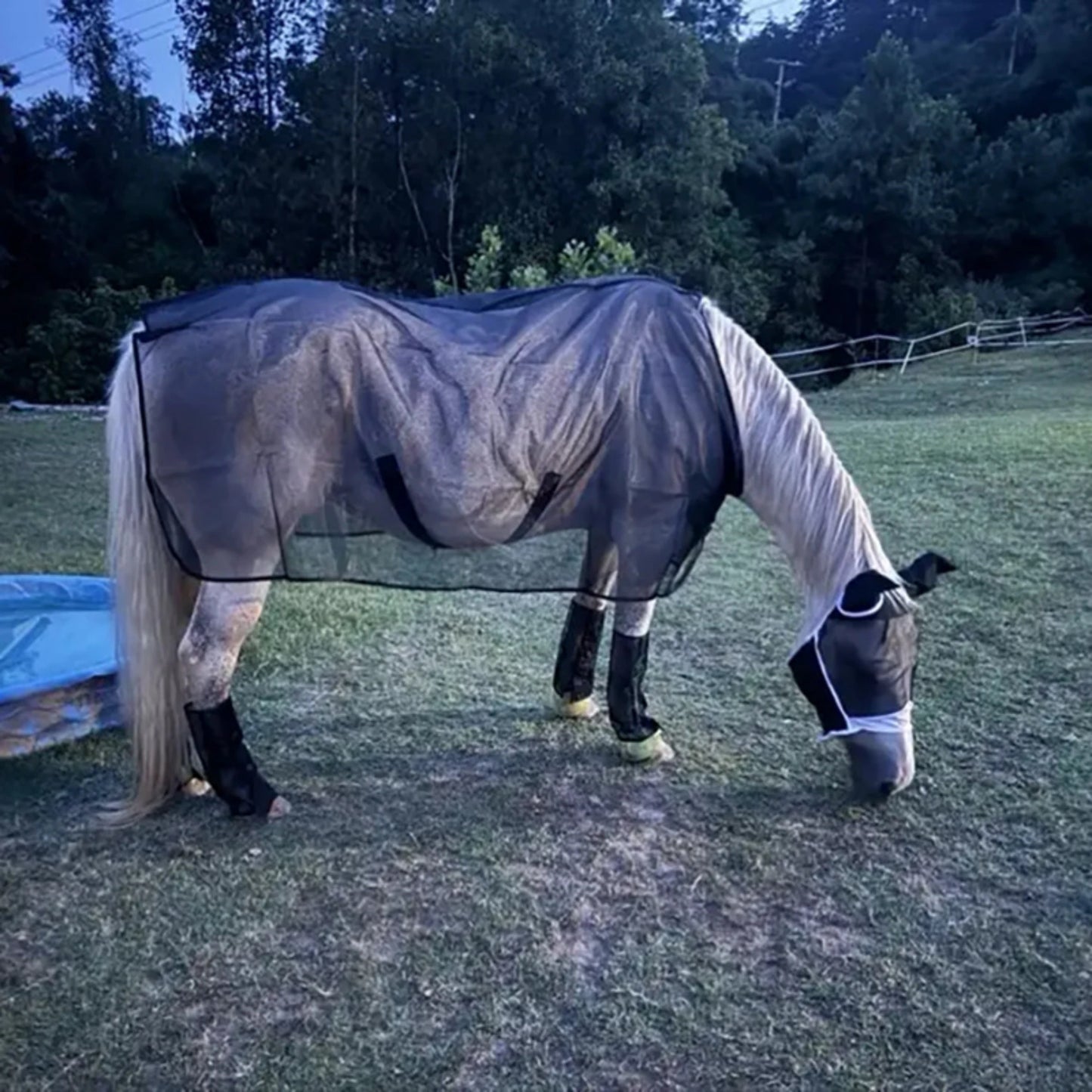 Caparison  Protective Tear-Resistant Mesh Horse Fly Sheet Comfy Equine Summer Sheet Breathable and UV