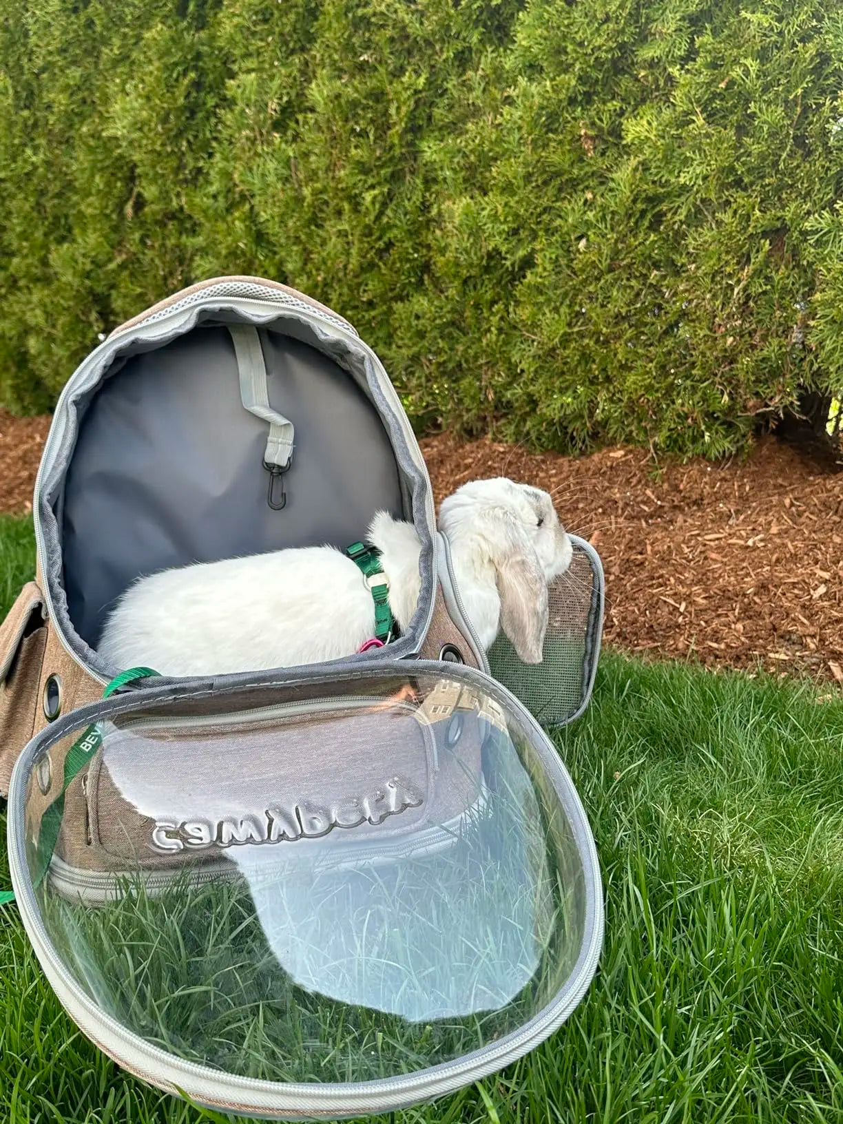 Cat Carrier Backpack Clear Pet Cat Carrier Bag Outdoor Travel Backpack for Cats Puppies Breathable Cat Carry Bag Pet Supplies