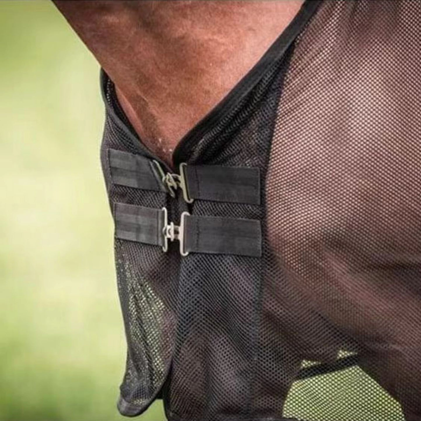 Caparison  Protective Tear-Resistant Mesh Horse Fly Sheet Comfy Equine Summer Sheet Breathable and UV