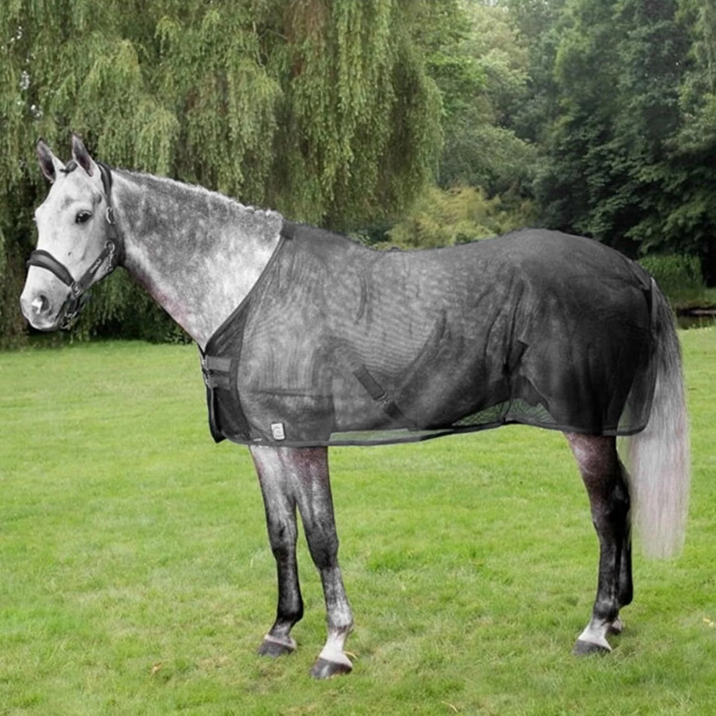 Caparison  Protective Tear-Resistant Mesh Horse Fly Sheet Comfy Equine Summer Sheet Breathable and UV