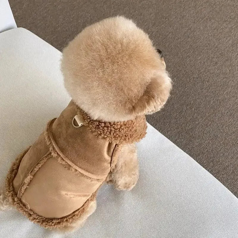 Small Dog Clothes – Warm Pet Sweatshirt Dress for Chihuahua & Puppies | Cute Dog Apparel & Accessories