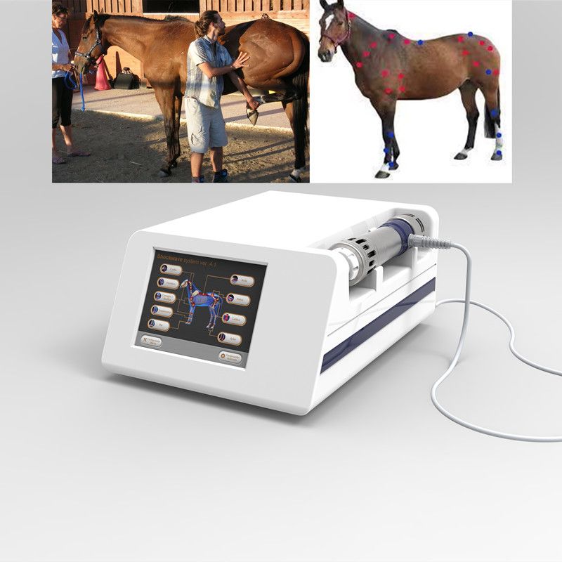 Benefit for horse and animals Veterinaria shockwave therapy machine equine shock wave