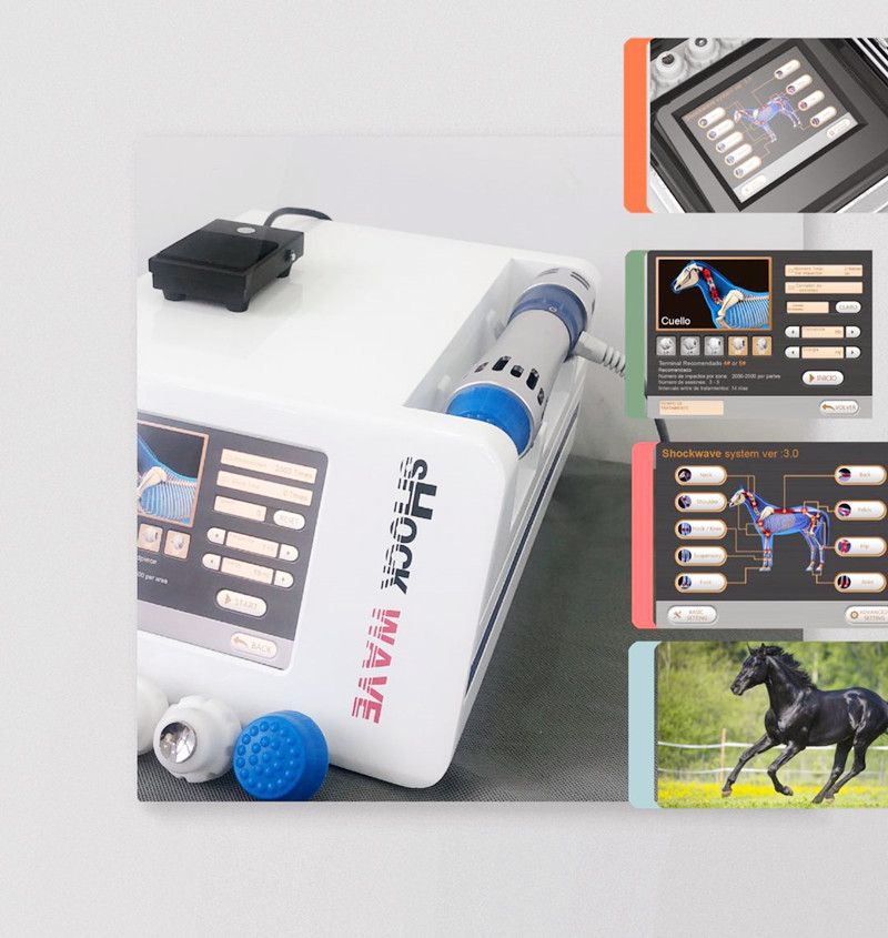 Benefit for horse and animals Veterinaria shockwave therapy machine equine shock wave