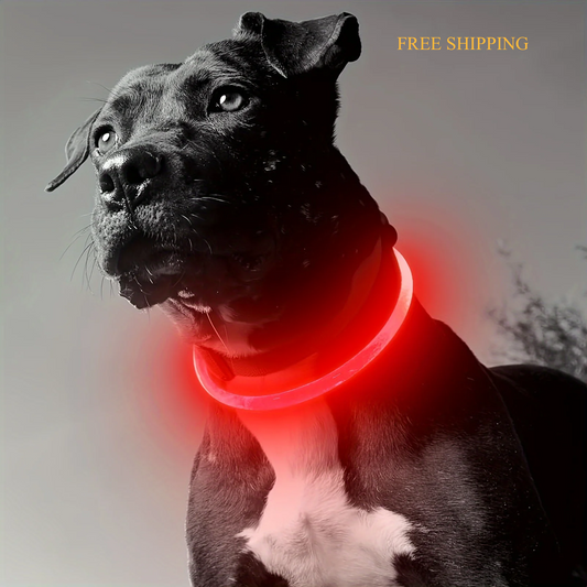 LED Light-Up Dog Collar – USB Rechargeable, Glow-in-the-Dark, Anti-Lost Safety Necklace for Pets