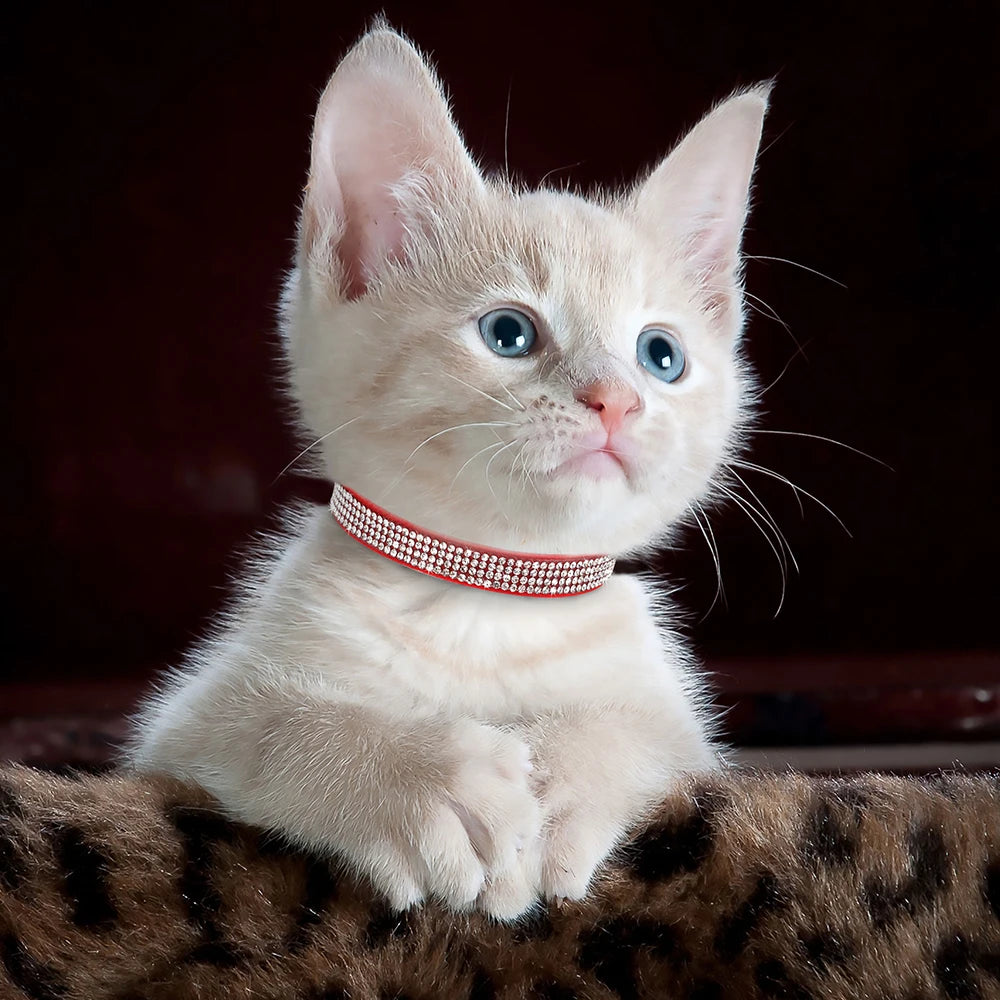 Soft Suede Leather Cat Collar Bling Rhinestone Cats Collars with Bell Safety Breakaway Pet  Necklace Adjustable XS S Pink