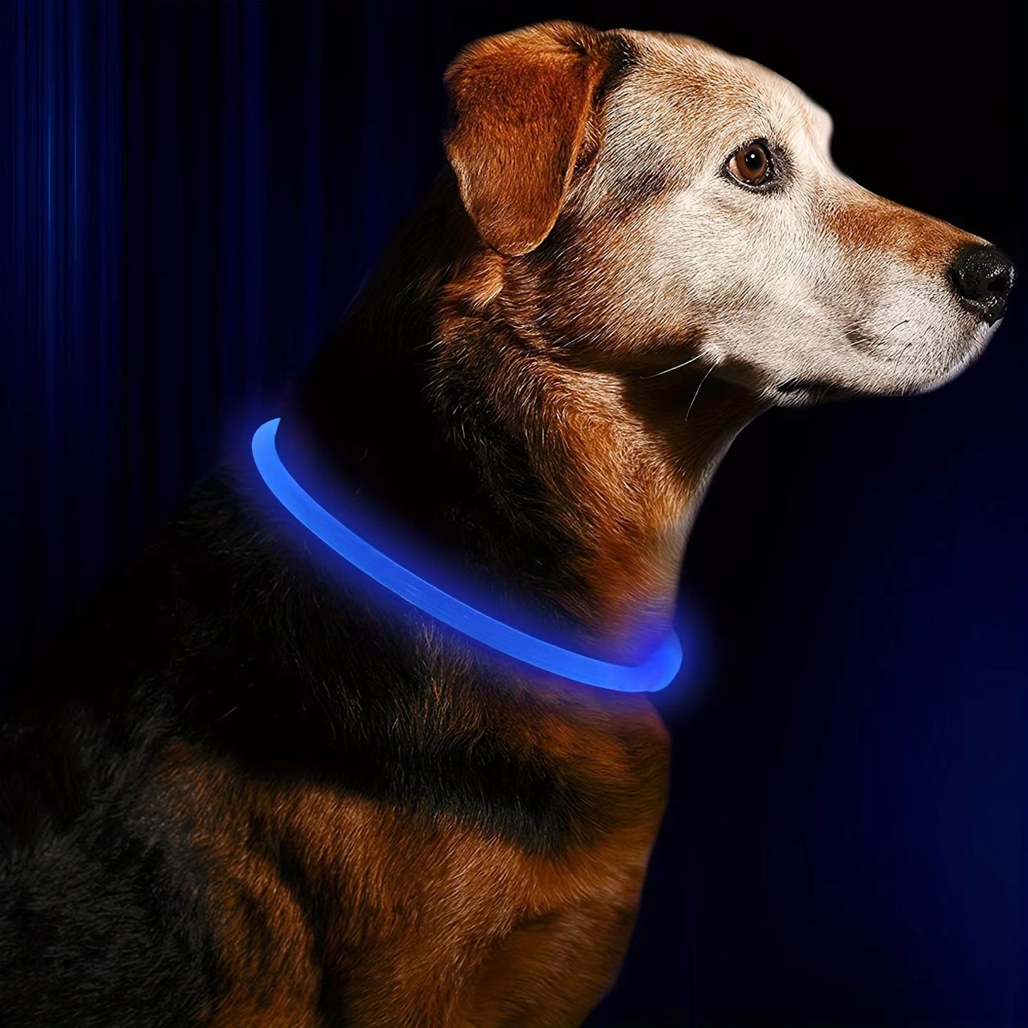 LED Light-Up Dog Collar – USB Rechargeable, Glow-in-the-Dark, Anti-Lost Safety Necklace for Pets