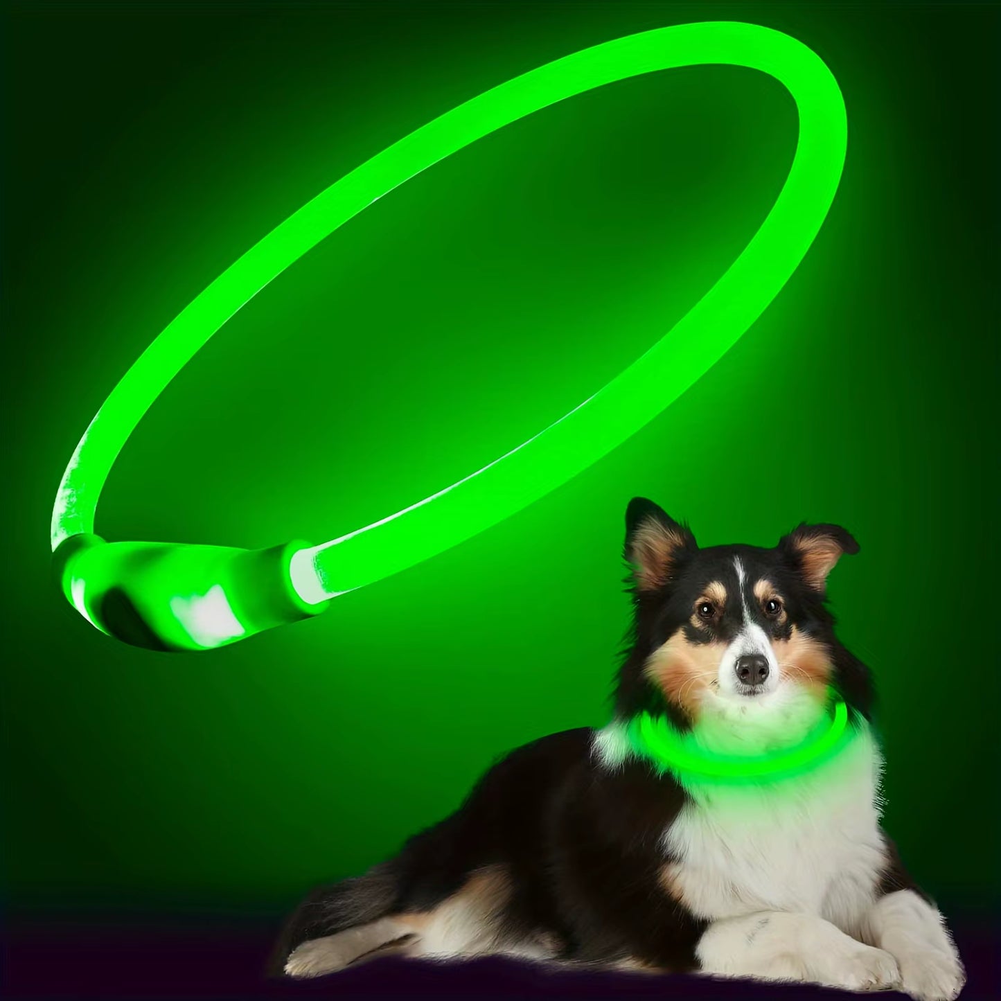 LED Light-Up Dog Collar – USB Rechargeable, Glow-in-the-Dark, Anti-Lost Safety Necklace for Pets