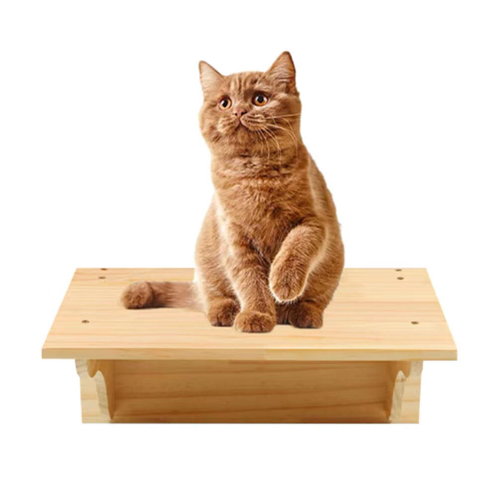 Wall-Mounted Cat Tree Set – Wooden Cat Shelves with Scratching Post, Hammock, Rope Ladder & Jumping Platform for Indoor Cats
